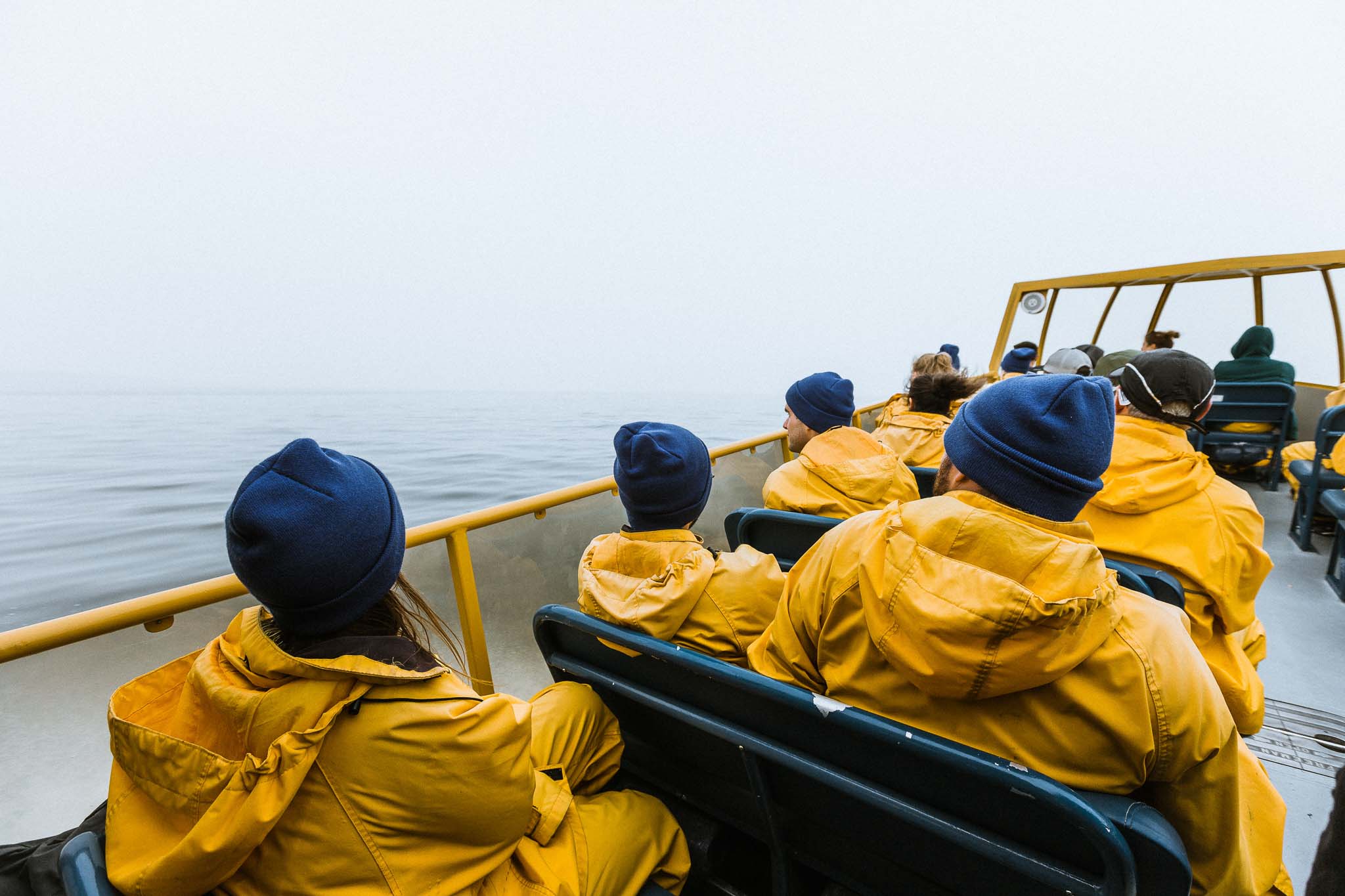 Yellow Jackets & Blue Hats