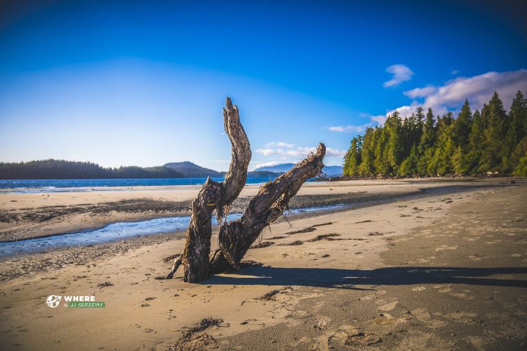 Meares Island