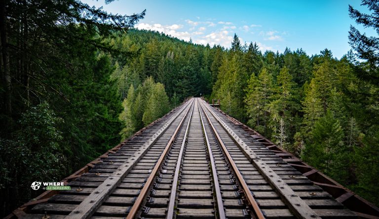 Goldstream Trestle