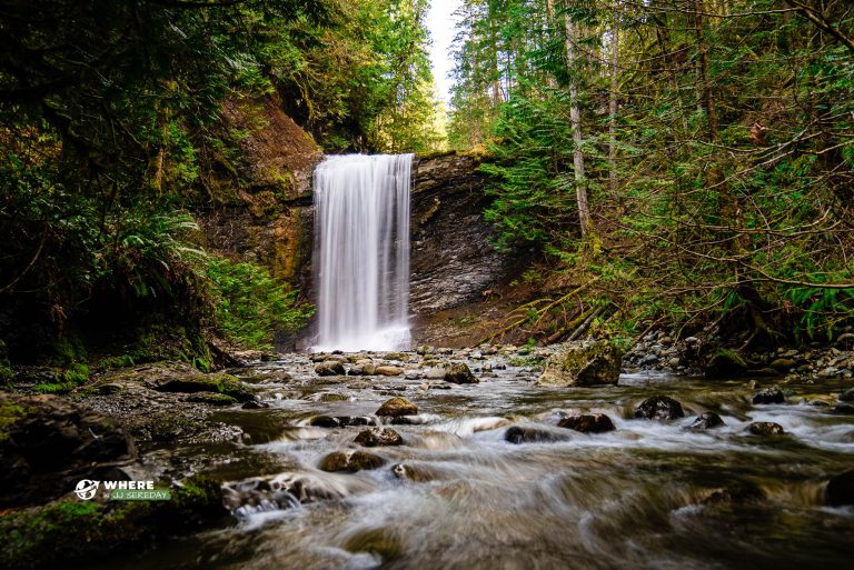 Ammonite Falls