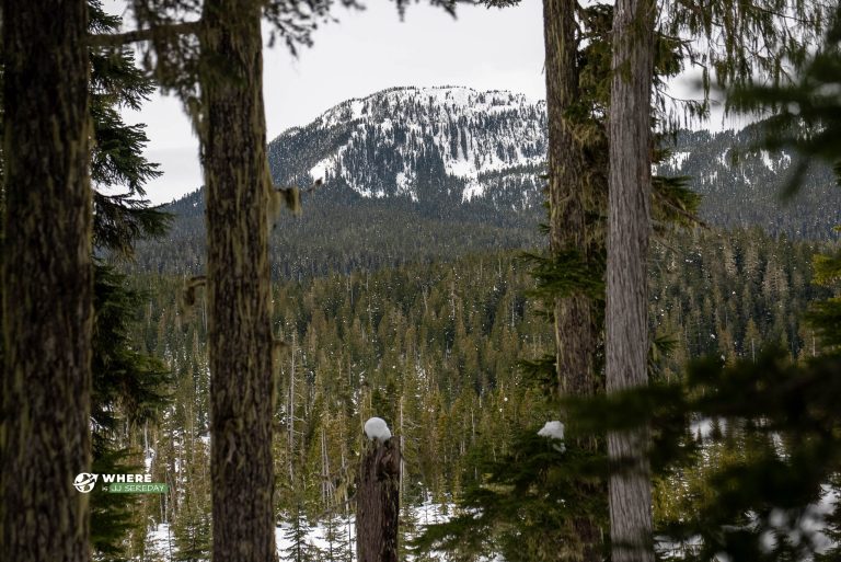 Mount Washington