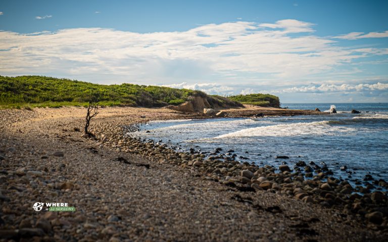 210820-JJS-A1-NY-Montauk-09489