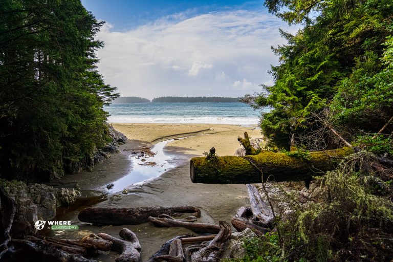 210927-JJS-B1-BC-Vancouver-Island-Tofino-03031