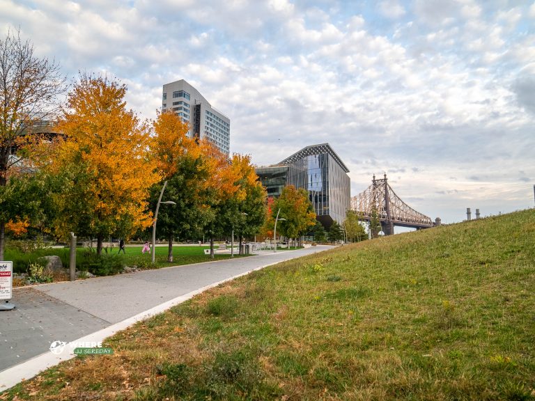 211025-JJS-A1-NY-NYC-Roosevelt-Island-00480