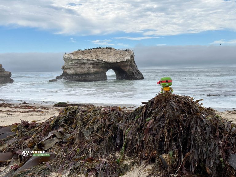 Natural Bridges State Beach