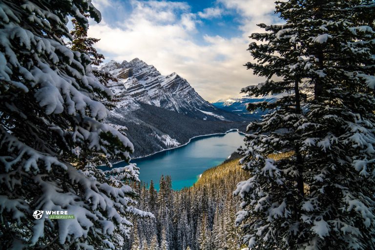 Peyto Lake