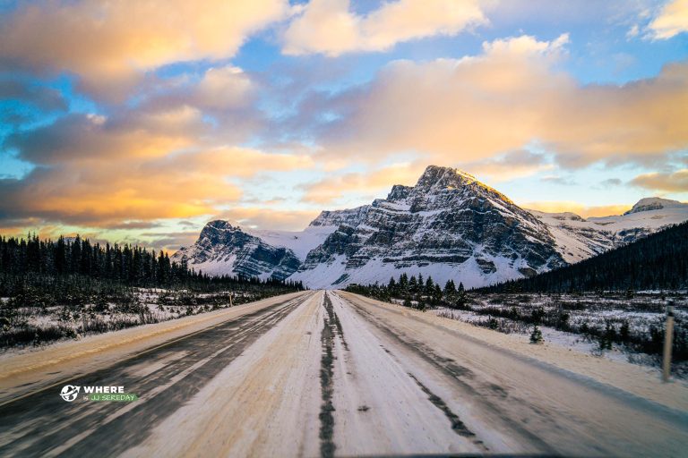 Icefields Parkway Viewpoint