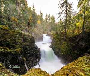 231107-JJS-A1-BC-Vancouver-Island-Little-Quailicun-Falls-03500-Pano-2