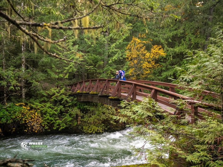 231107-JJS-A1-BC-Vancouver-Island-Little-Quailicun-Falls-03513