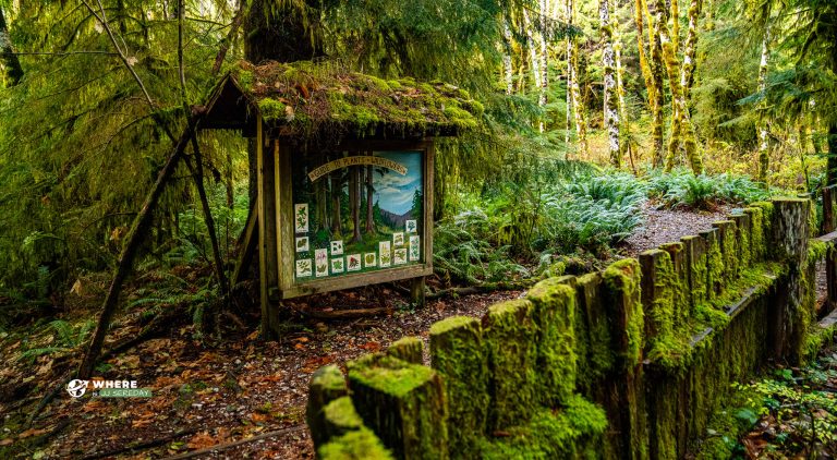 Harris Creek Spruce Recreation Site