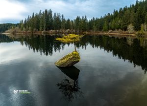 231121-JJS-B1-BC-Vancouver-Island-Adventure-0274-Pano