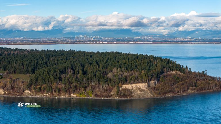 Lily Point Beach