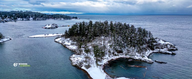 240117-JJS-C1-BC-VI-Nanaimo-Pipers-Lagoon-0144