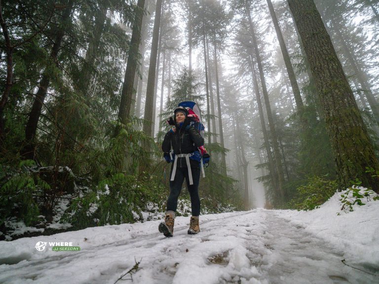 A Snowy Forest Hike to Ammonite Falls