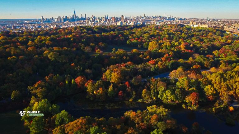 Prospect Park - Autumn 3