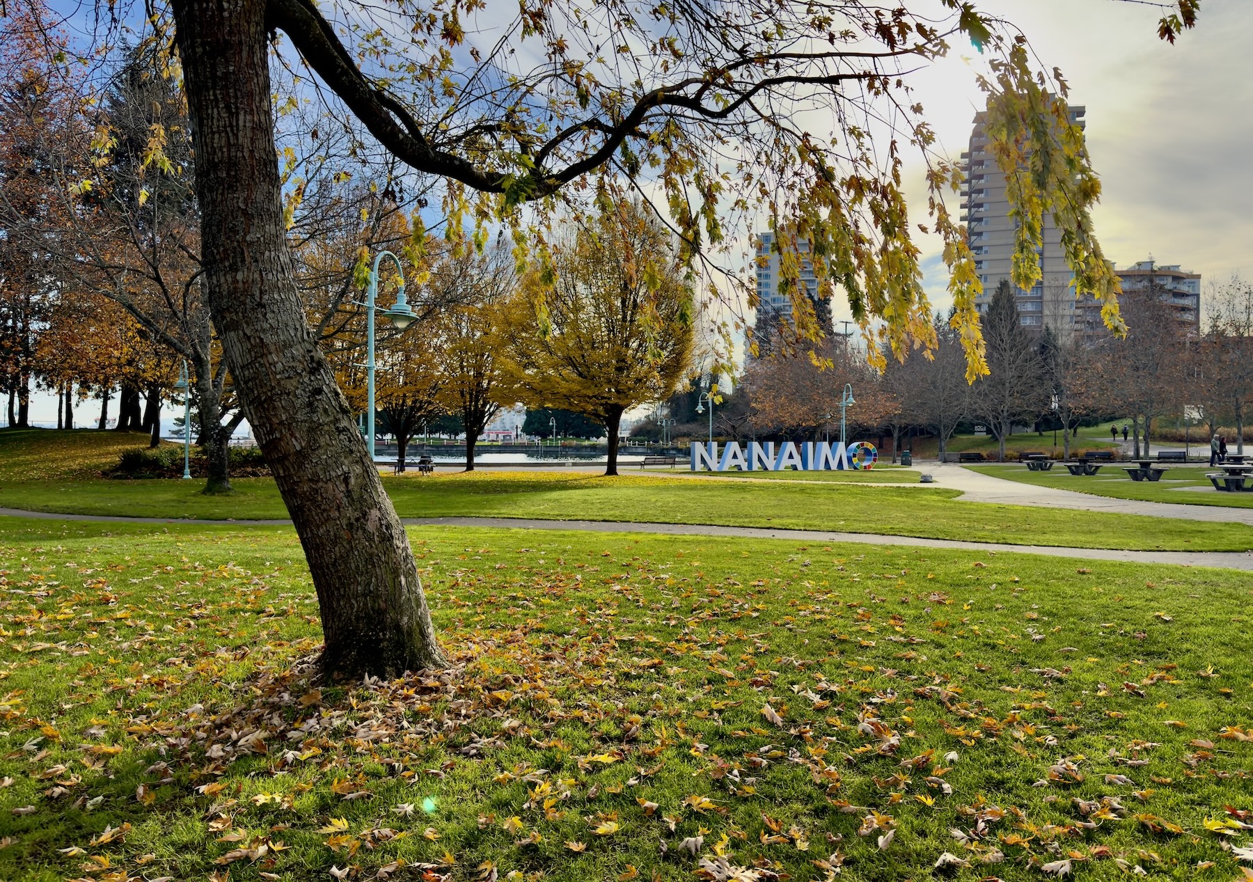 Is Nanaimo the Most Underated City In Canada? 5 Reasons Why.