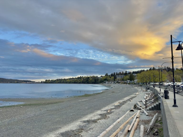 Departure Bay Beach