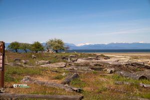 240509-JJS-A1-BC-Vanvouver-Island-Rathtrevor-Beach-09208