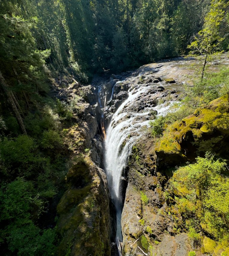 Englishman River Falls Park