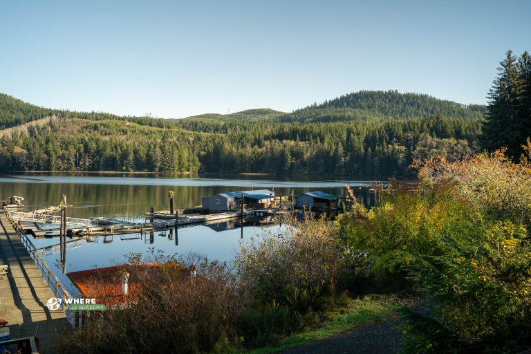 241022-JJS-A1-BC-Vancouver-Island-Winter-Harbour-09000