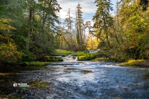 241027-JJS-A1-BC-Vancouver-Island-Nanaimo-Bowen-Park-00293