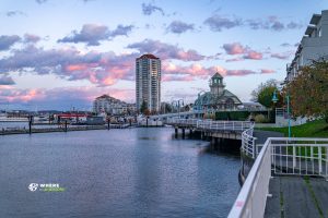 241104-JJS-A1-BC-Vancouver-Island-Nanaimo-00387