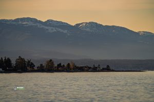 250127-JJS-A1-BC-Vancouver-Island-Qualicum-Beach-02218