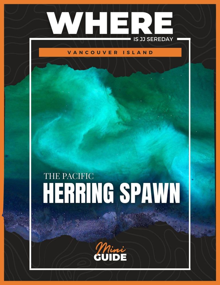 WHERE GUIDE | Herring Spawn - WHERE GUIDE Herring Spawn v5