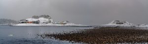 250203-JJS-A1-BC-Vancouver-Island-Nanaimo-Neck-Point-