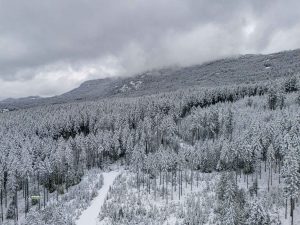 250205-JJS-D2-BC-VI-Nanaimo-Ammonite-Falls-0056