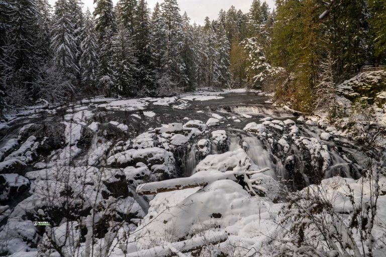 250207-JJS-A1-BC-Vancouver-Island-Englishman-River-Falls-02821