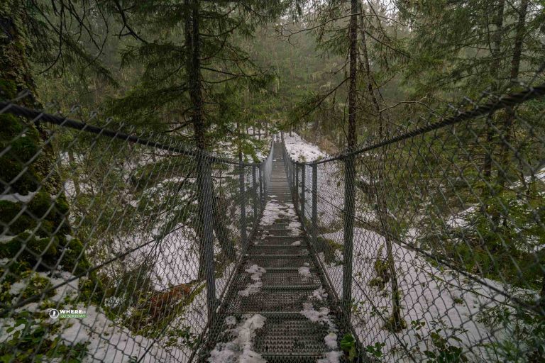 250216-JJS-A1-BC-VI-Ladysmith-Haslam-Creek-03010