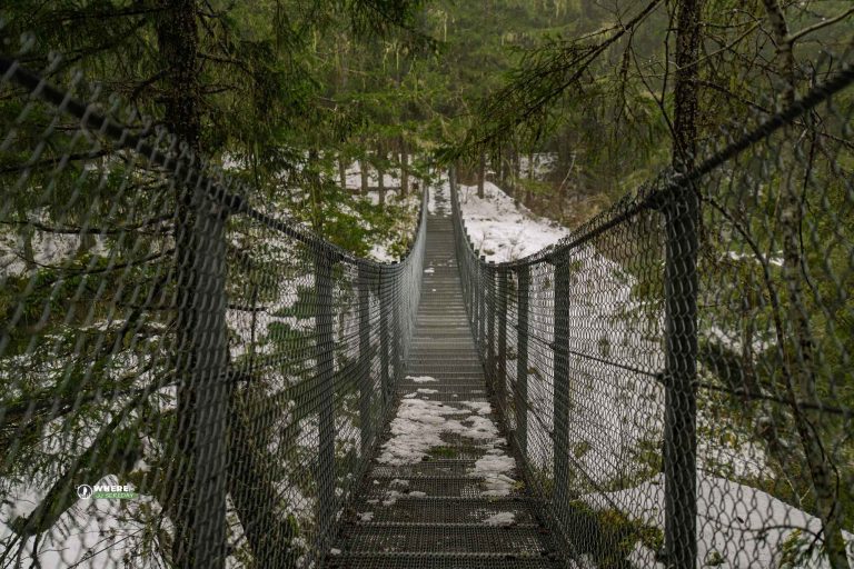 Haslam Creek Suspension Bridge