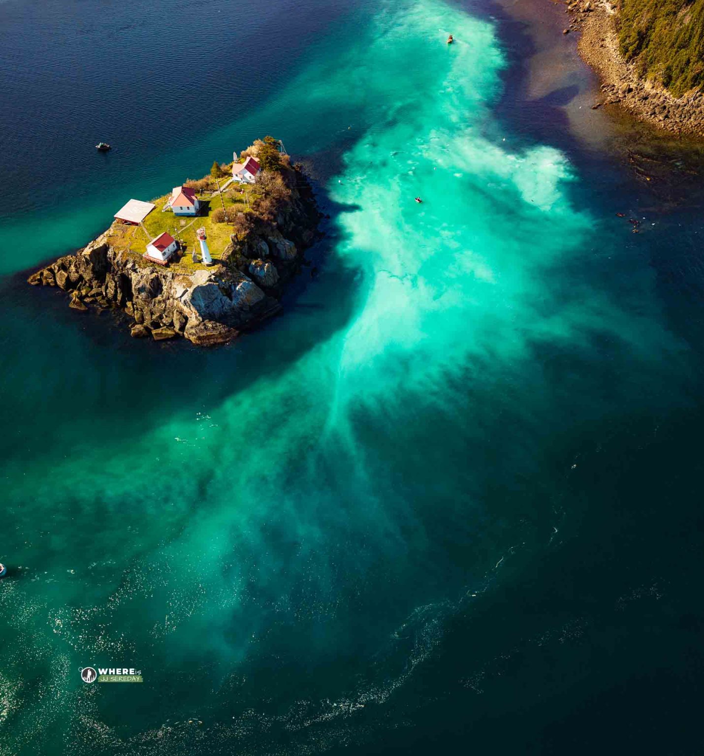 250306-JJS-D2-BC-VI-Denman-Island-Herring Spawn-0037-Pano