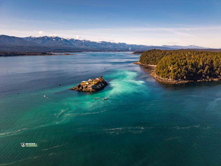 250306-JJS-D2-BC-VI-Denman-Island-Herring Spawn-0040