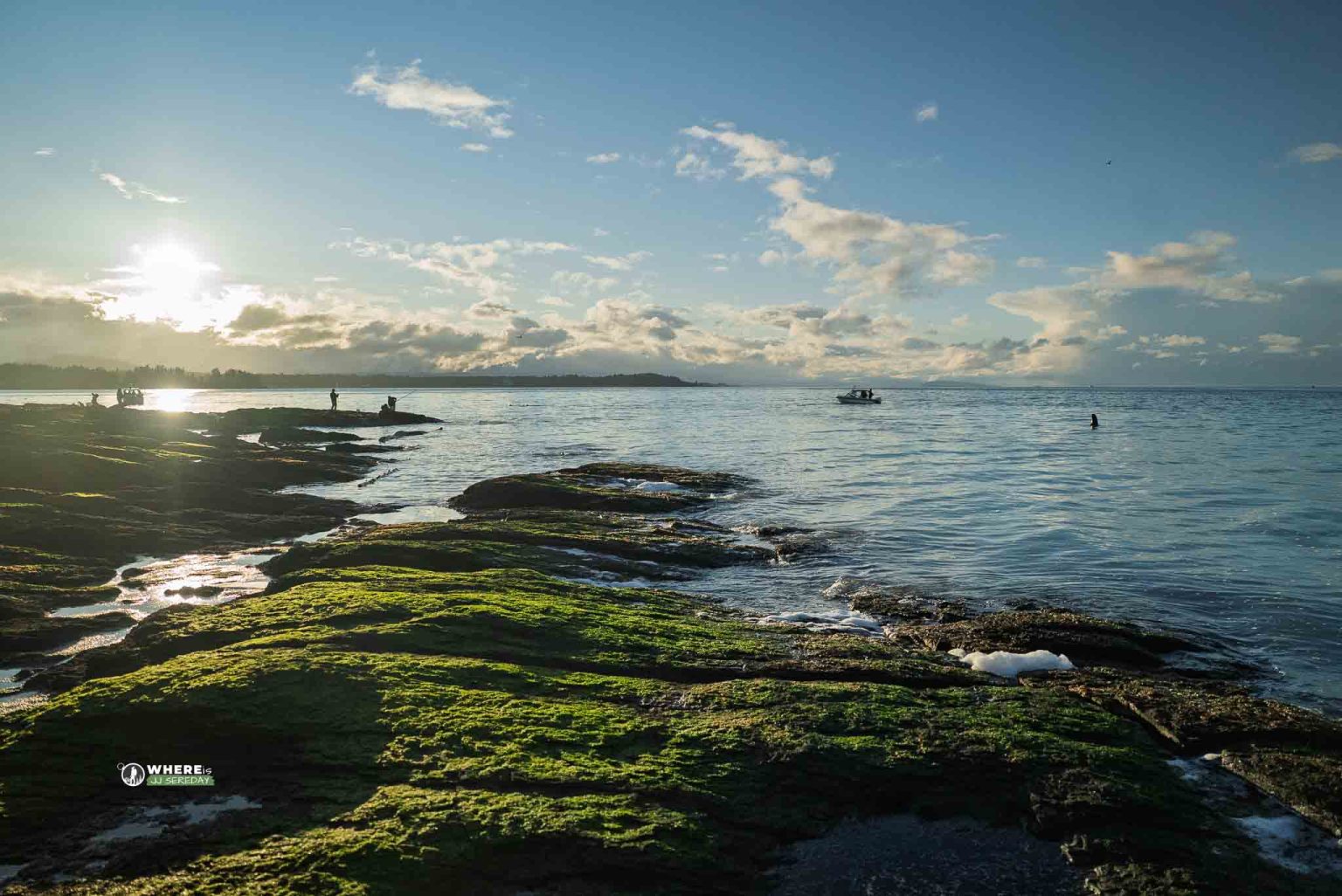 250313-JJS-B1-BC-VI-Nanoose-Bay-Herring-Spawn-04789