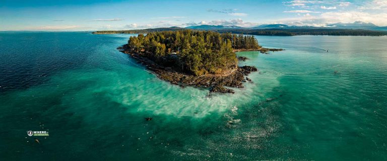 250313-JJS-D1-BC-VI-Nanoose-Bay-Herring-Spawn-0034-Pano-Edit