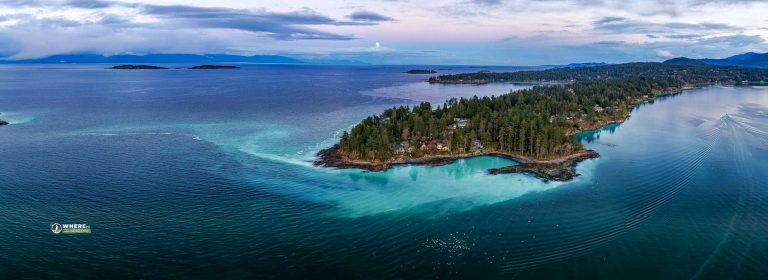 250313-JJS-D2-BC-VI-Nanoose-Bay-Herring-Spawn-0012