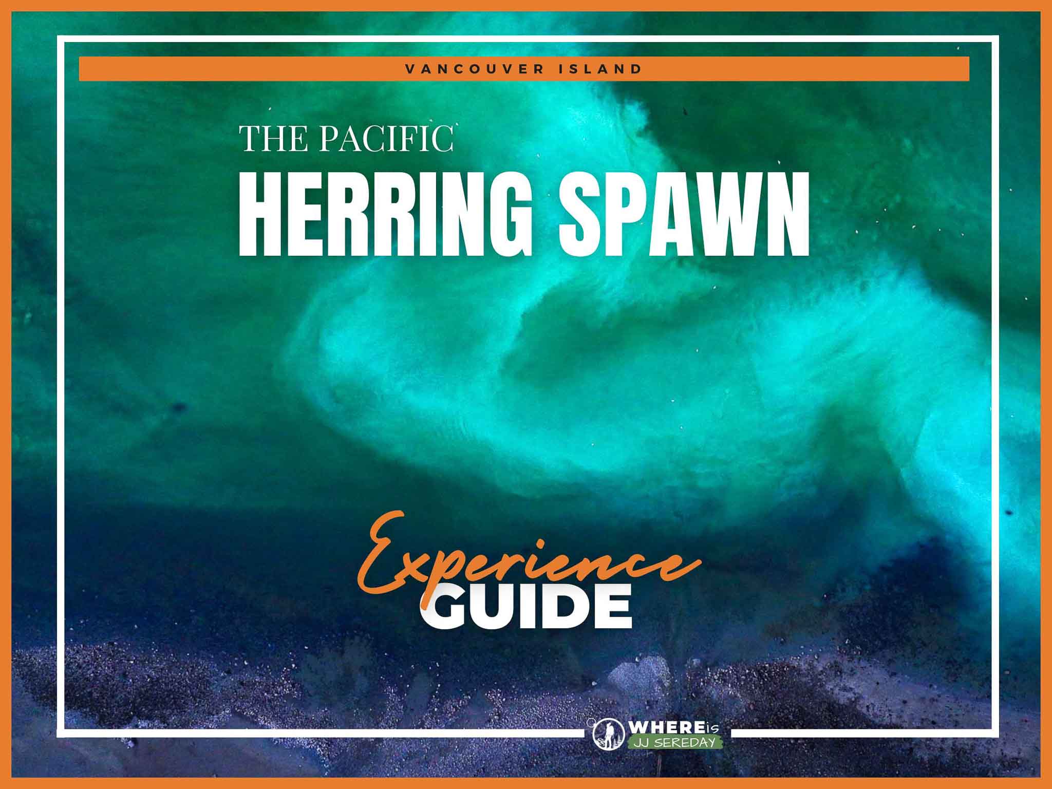 WHE GUIDE | Herring Spawn (24 x 18 in) - WHERE GUIDE Herring Spawn v3